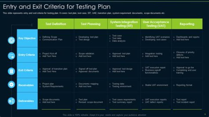 What are the entry and exit criteria for test execution?