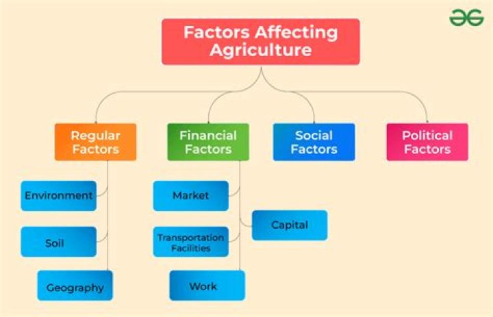 What are the factors affecting economy?