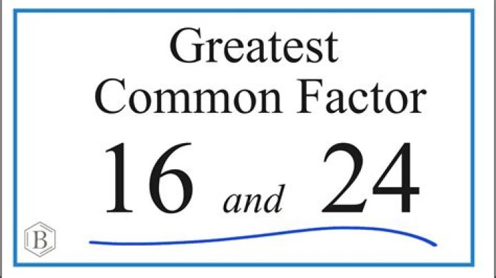 What are the factors of 16 24?