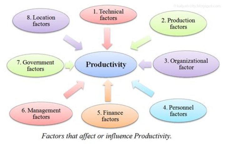 What are the factors that affect productivity in what ways they affect productivity?