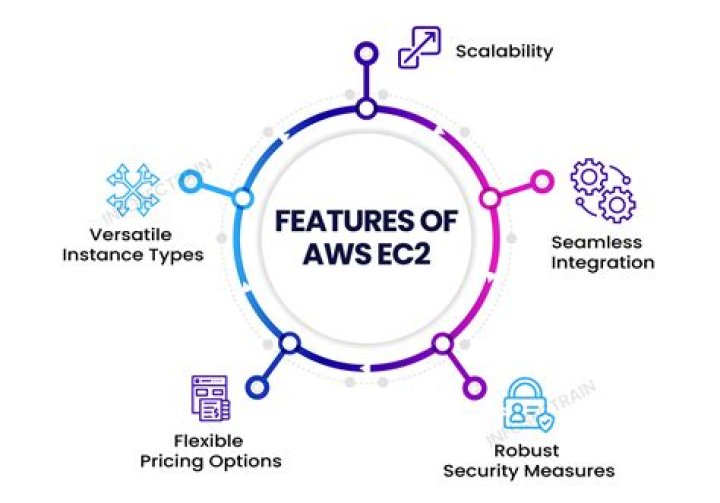 What are the features of an economy?