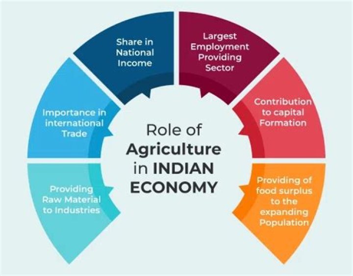 What are the features of Indian rural economy?