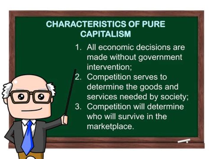 What are the five characteristics of pure capitalism?