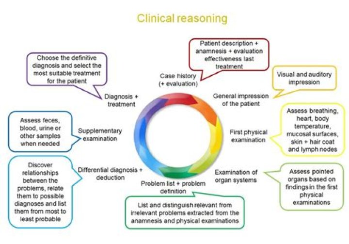What are the five stages of clinical reasoning?