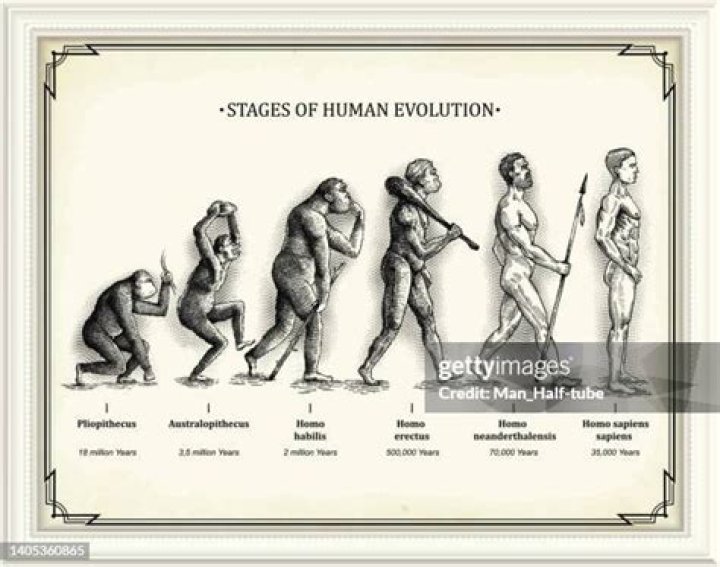 What are the five stages of evolution of society for Karl Marx?