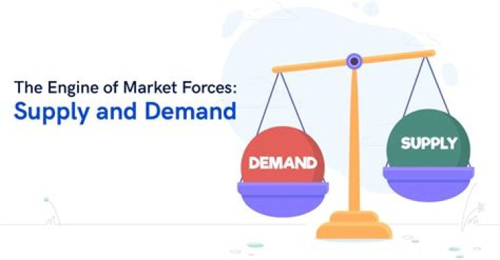 What are the forces of demand and supply?