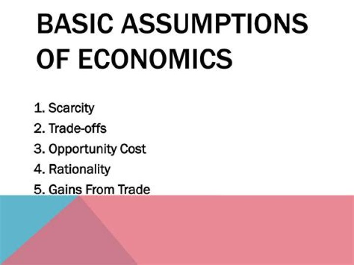 What are the four basic assumptions of economics?
