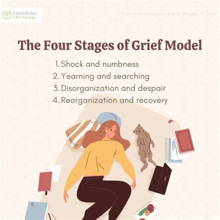 What are the four stages of violence?