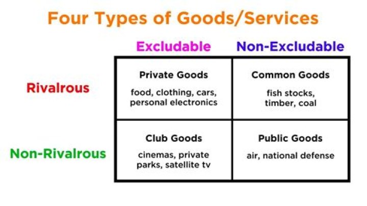 What are the four types of economic goods?