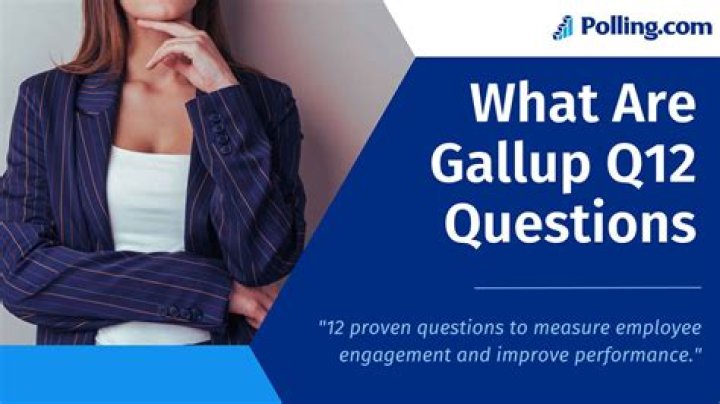 What are the Gallup Engagement Questions?