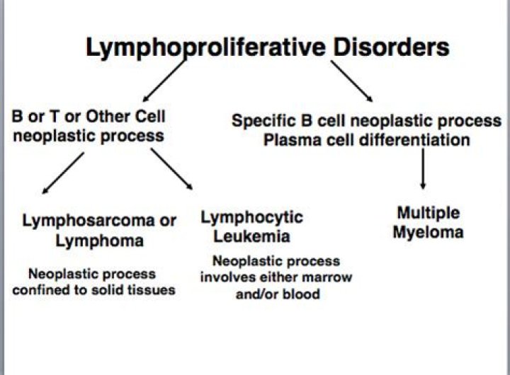 What are the lymphoproliferative disorders?