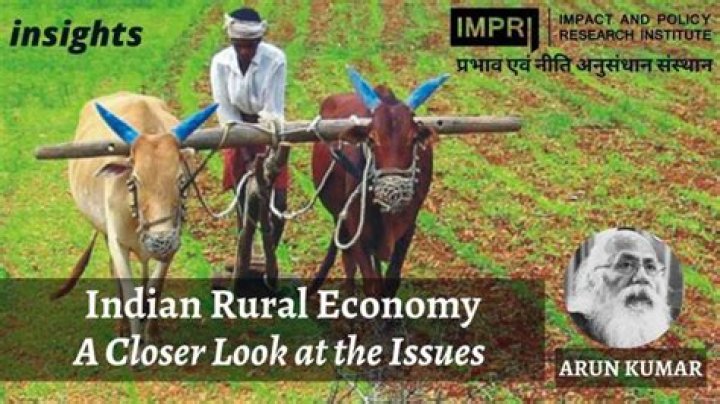 What are the main characteristics of Indian rural economy?
