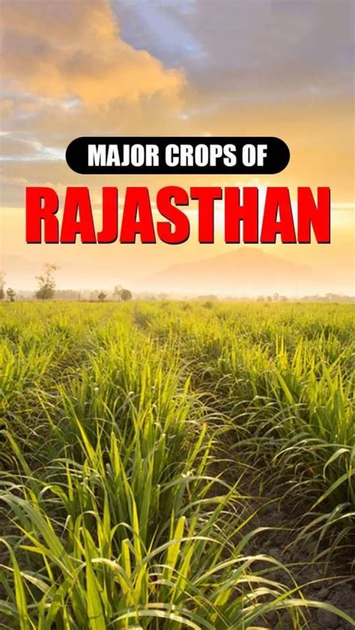 What are the main crops of Rajasthan?