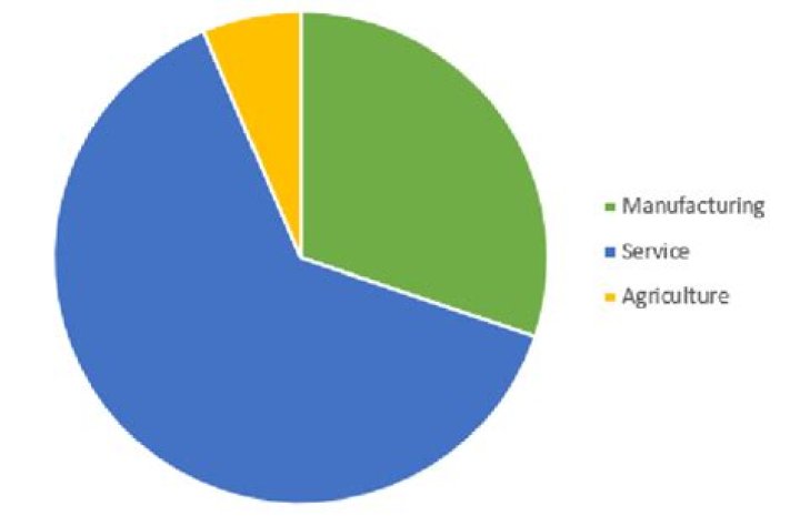 What are the main reason for the growth share of the service sector in all the major economic of the world?