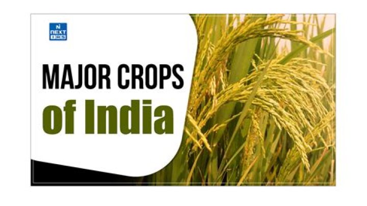What are the major crops of West Bengal?