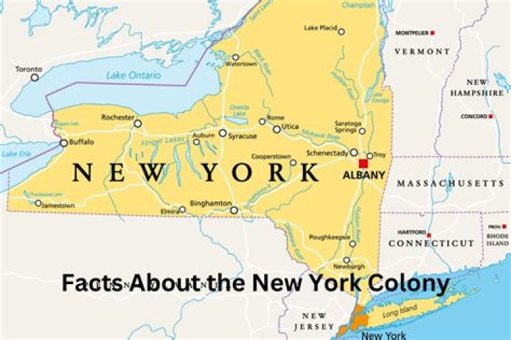 What are the major economic businesses in New York Colony?