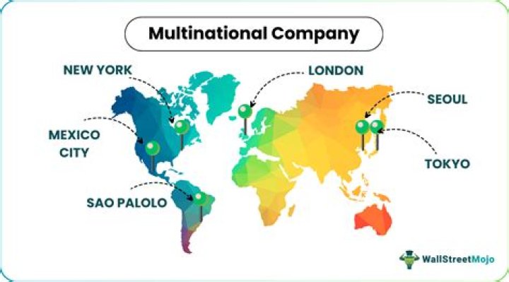 What are the merits of multinational companies?