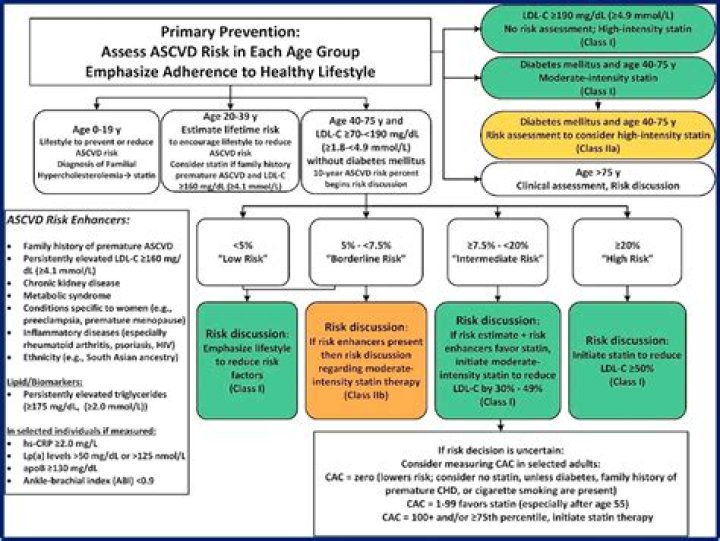 What are the new statin guidelines?