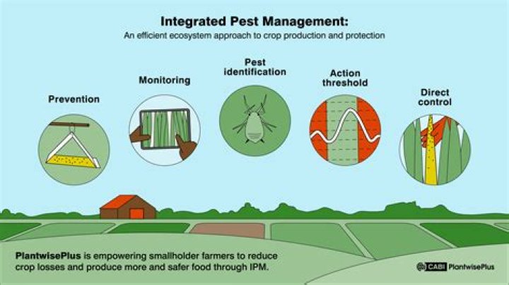 What are the objectives of integrated pest management?