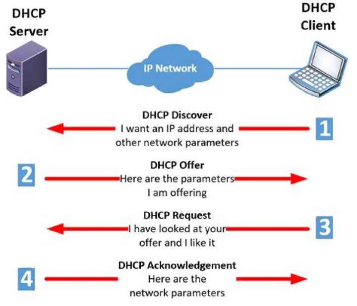 What are the options for DHCP?