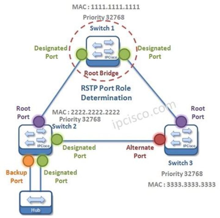 What are the port roles in RSTP?