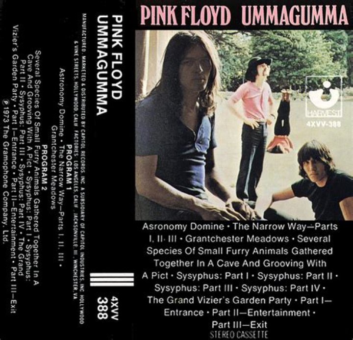 What are the reviews of Ummagumma?