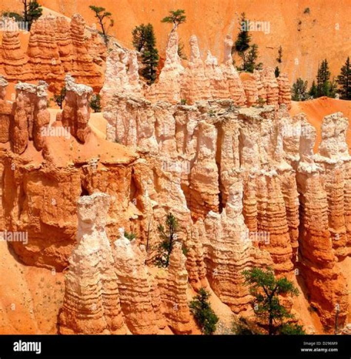 What are the rock pillars in Bryce Canyon called?