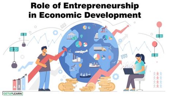 What are the roles of an entrepreneur in a developing economy?