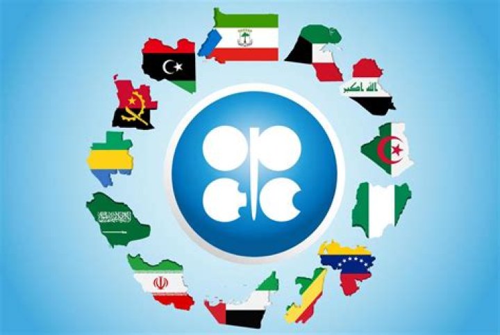 What are the roles of OPEC?