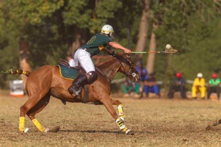 What are the rules for polocrosse?