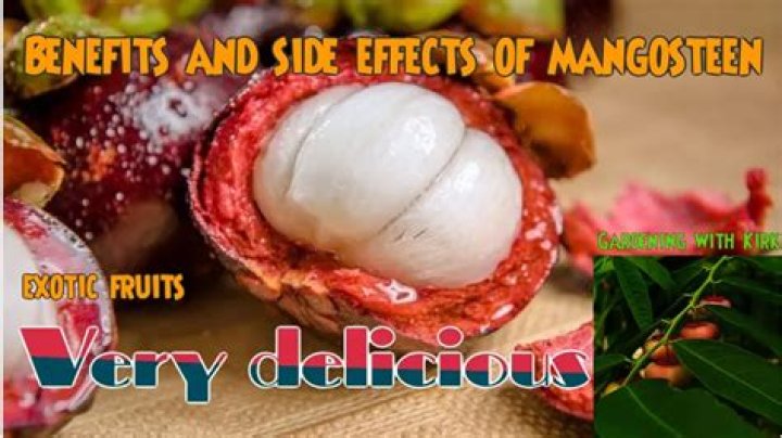 What are the side effects of mangosteen?