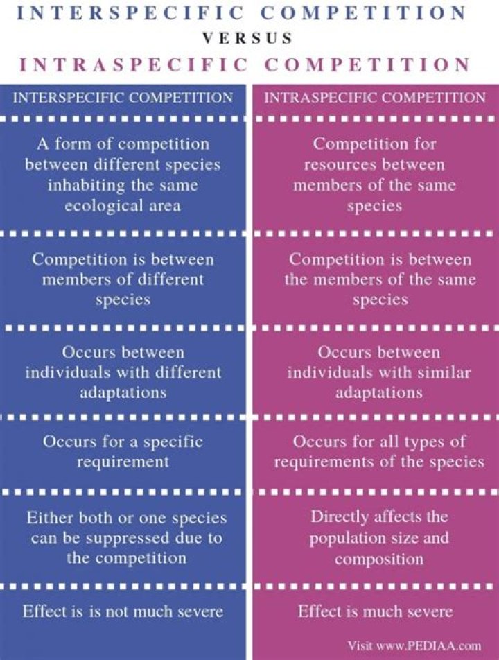 What are the similarities between intraspecific and interspecific competition?