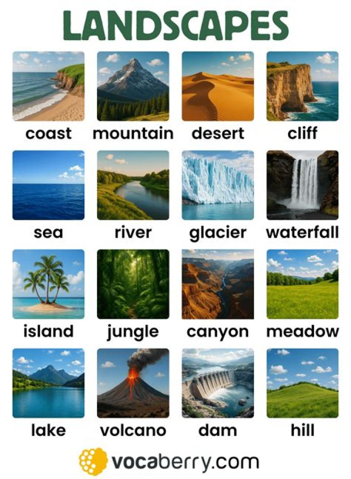 What are the six landscapes of Cameroon?