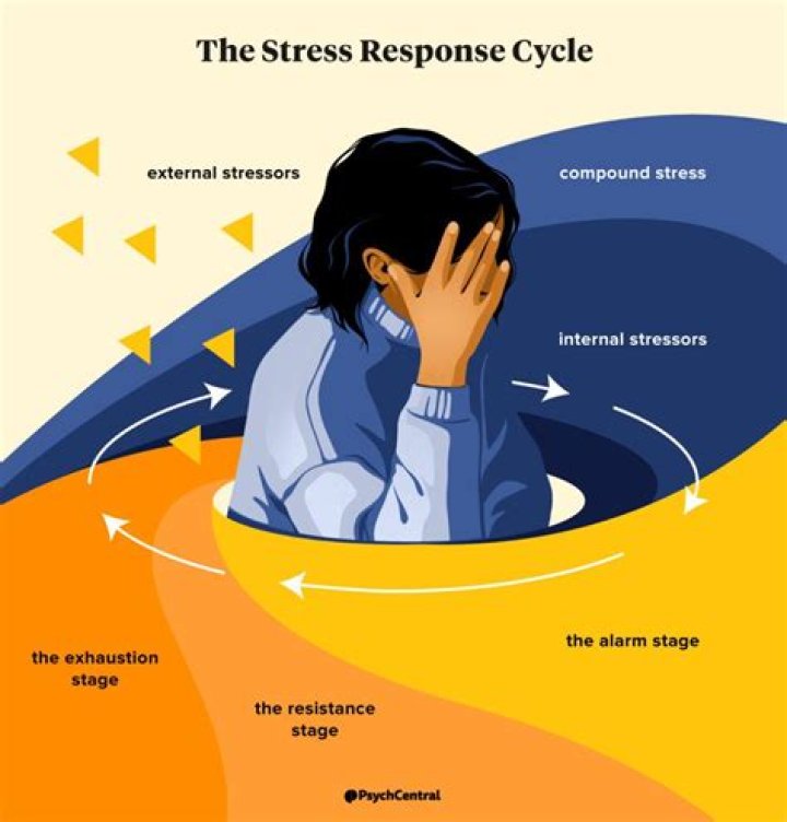 What are the stages of stress and anxiety?