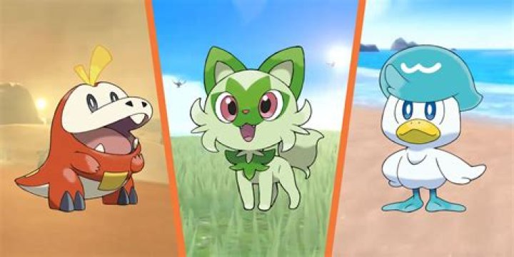 What are the starters in X and Y?