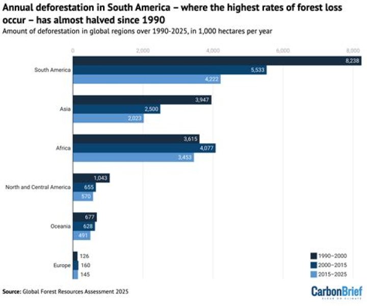 What are the statistics of deforestation?