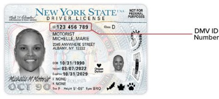 What are the three stages of NYS drivers license?