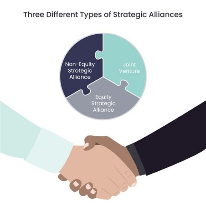 What are the three types of strategic alliances?