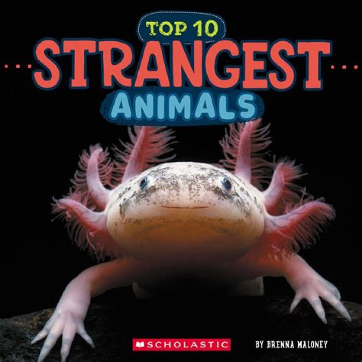 What are the top 10 strangest animals?