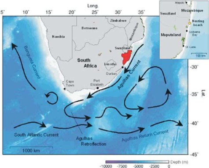 What are the two currents in South Africa?