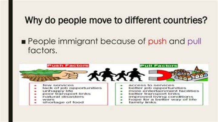 What are the two type of factors that cause immigration?