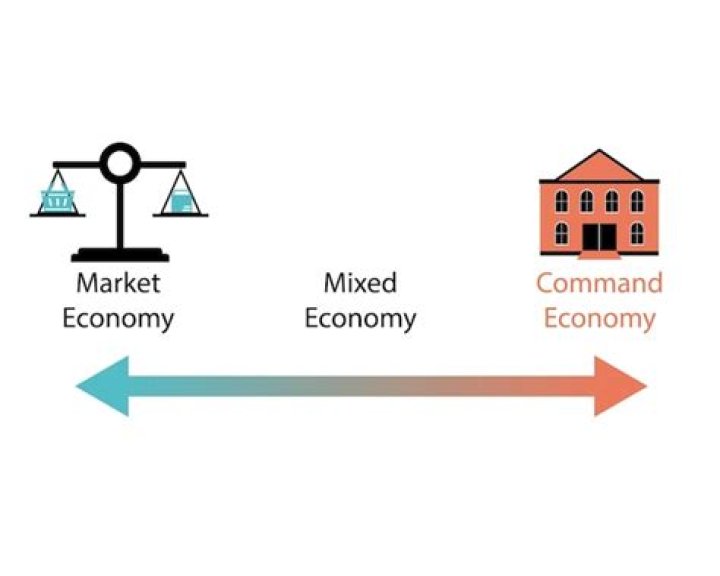 What are the two types of economic entity?