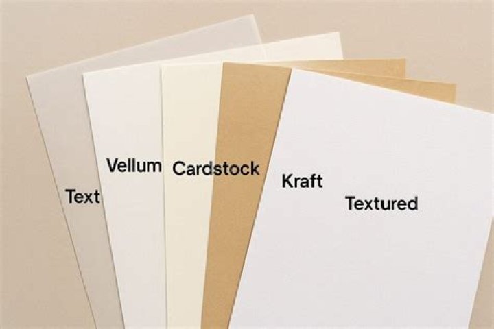 What are the types of cardstock?