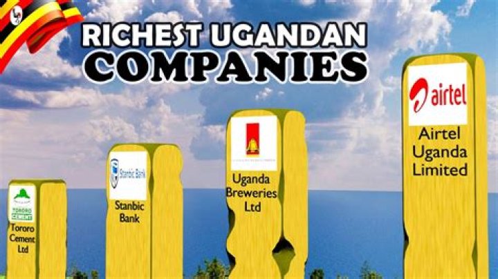 What are the types of companies in Uganda?