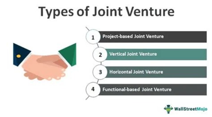 What are the types of joint ventures?