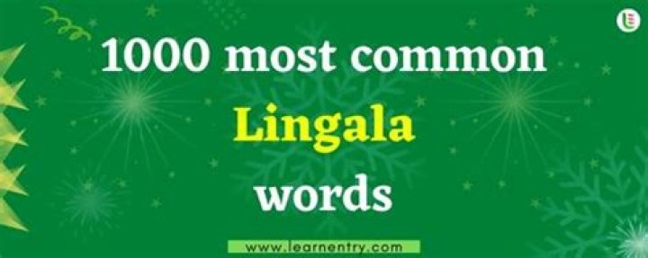 What are the words and phrases in Punjabi?