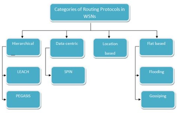 What are the WSN protocols?