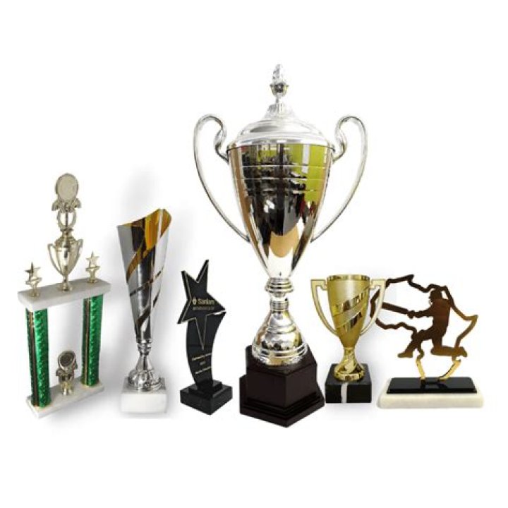 What are those trophy cups called?