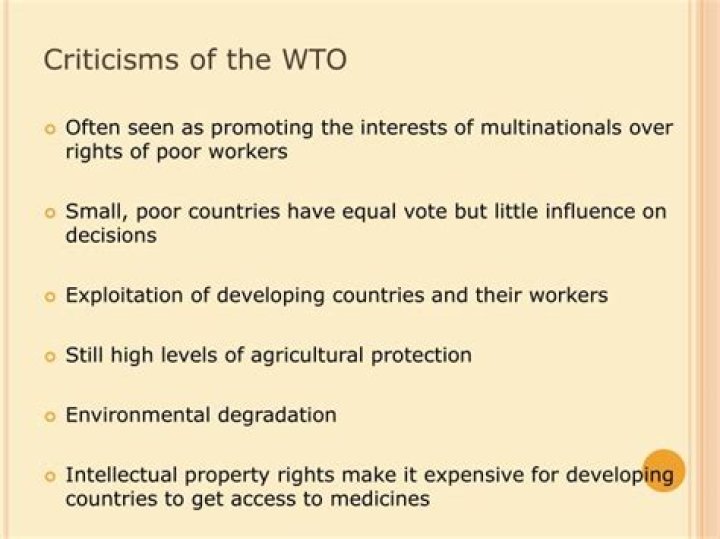 What are two criticisms of the WTO?