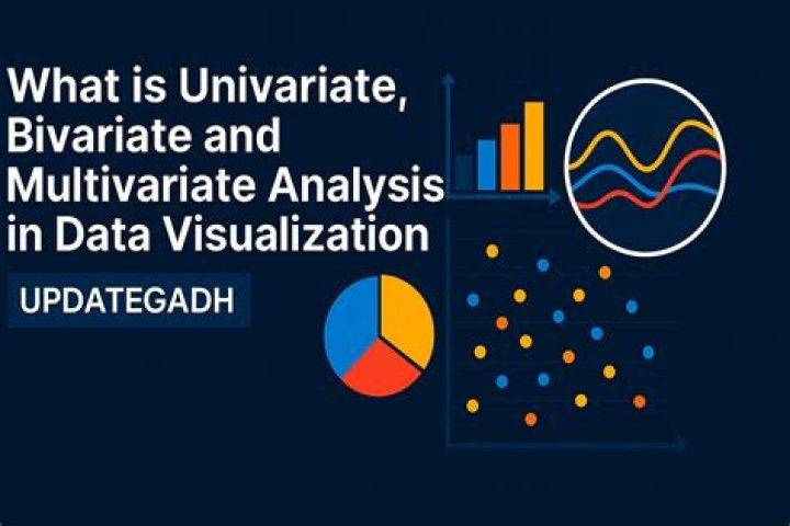 What are univariate bivariate and multivariate data?